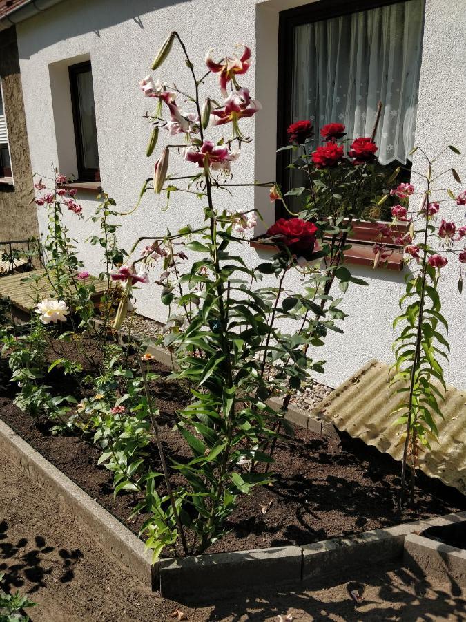 Gaestehaus Am Teich Raben Steinfeld Exteriör bild