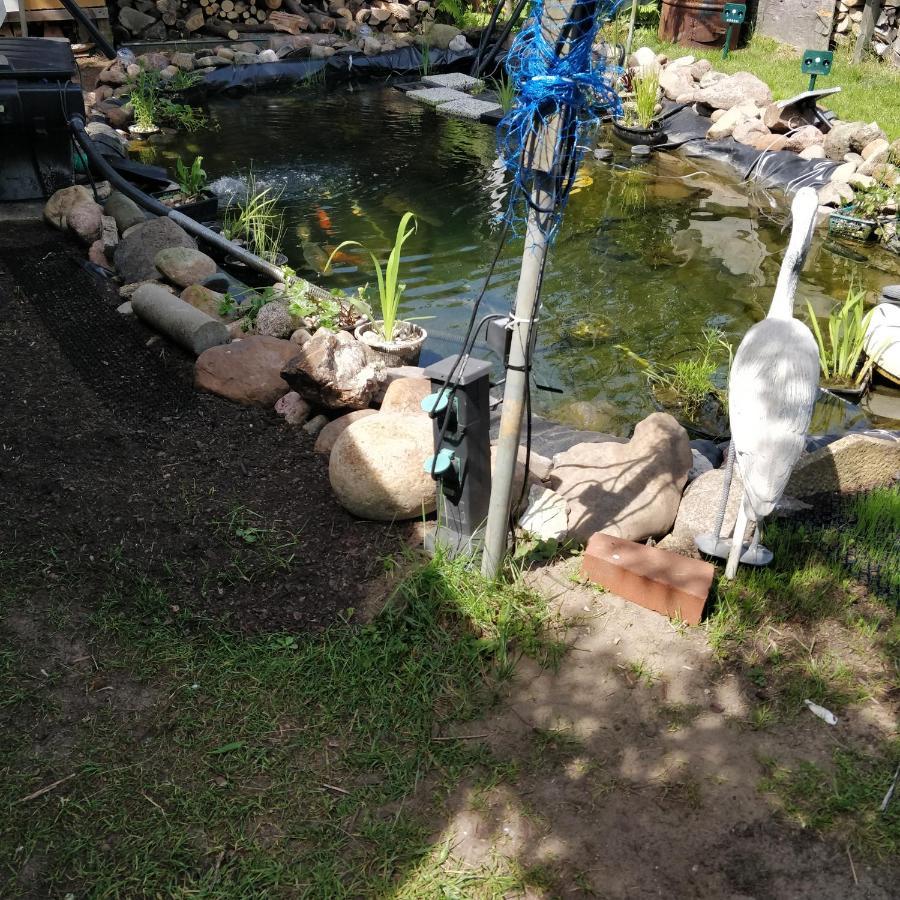 Gaestehaus Am Teich Raben Steinfeld Exteriör bild