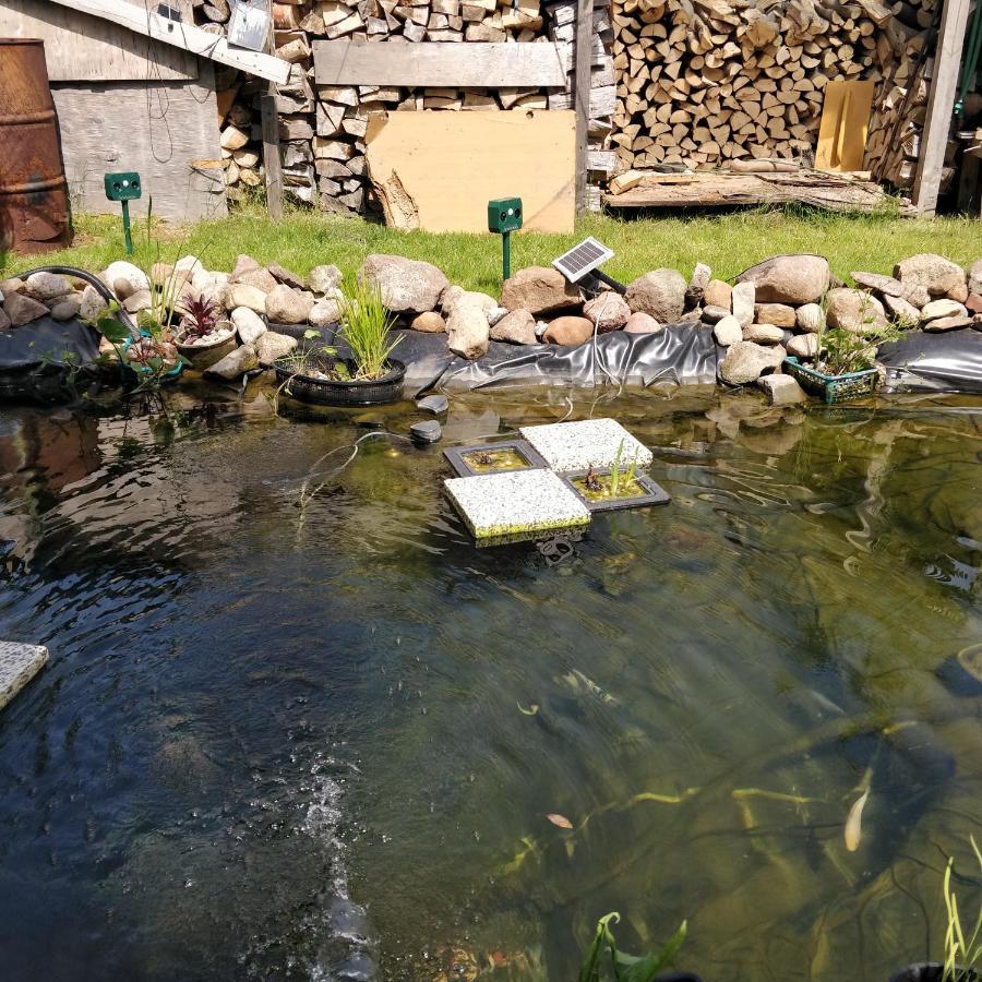 Gaestehaus Am Teich Raben Steinfeld Exteriör bild